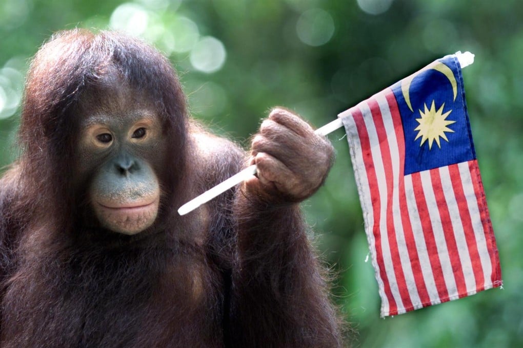 Ukraina biseksual porno Turk seks video