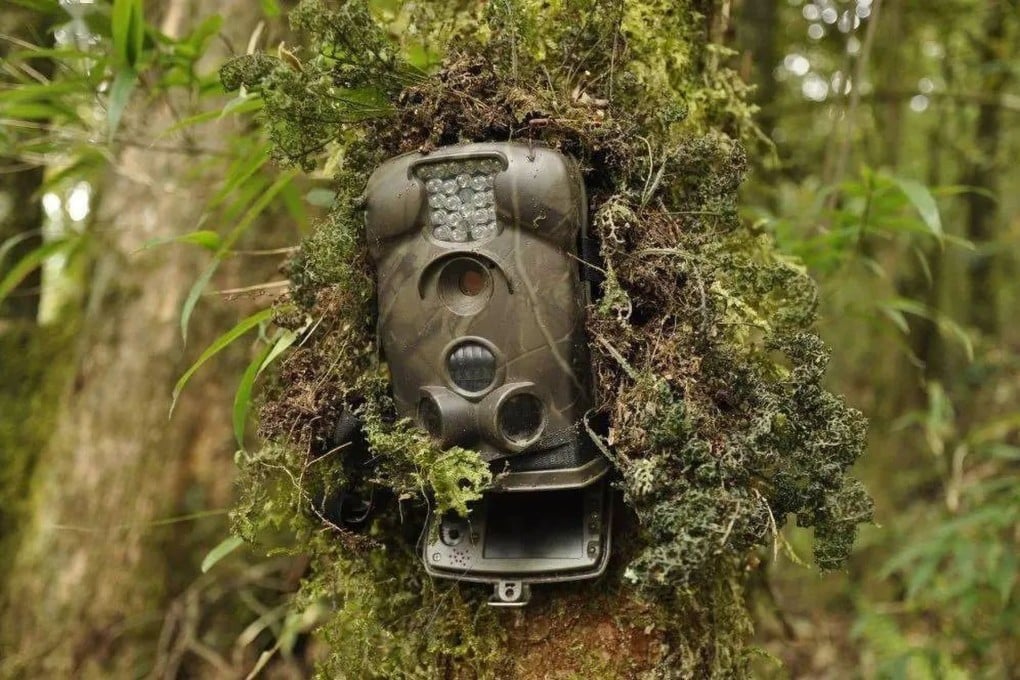 China’s Ministry of State Security says foreign parties have stolen geographical, meteorological, biological and other sensitive data from China’s important nature reserves. Photo: Weixin/Ministry of State Security