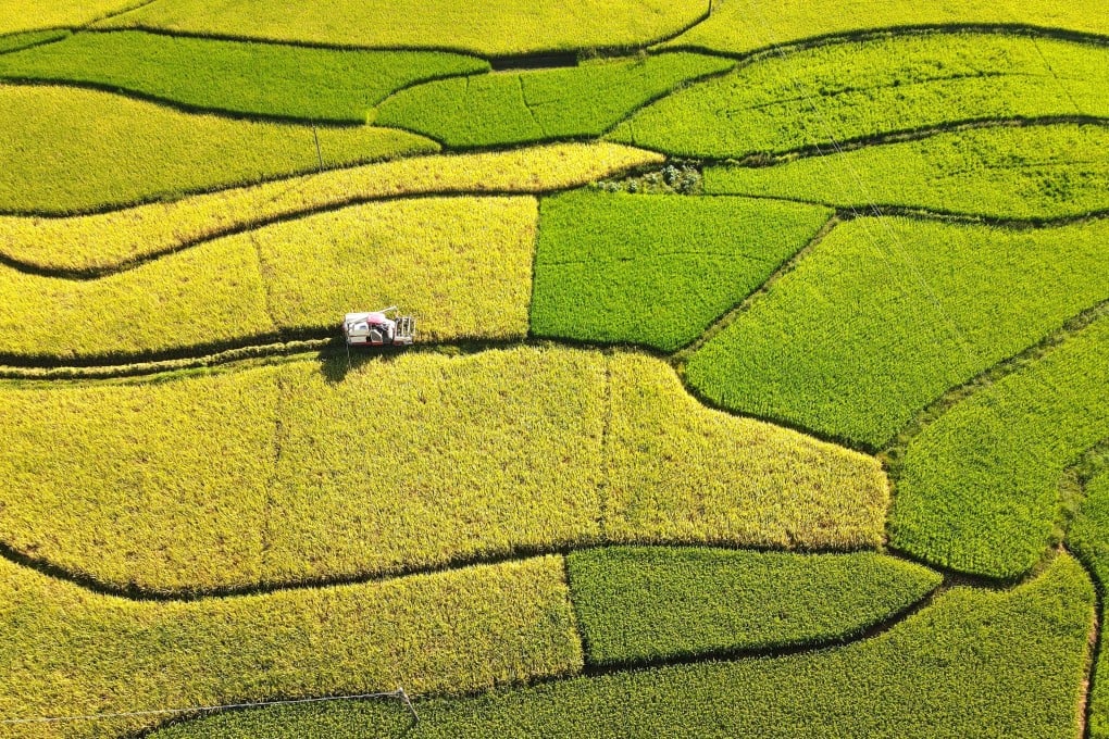Hunan province in central China is leading a campaign to invest in Africa to help boost production of food, some of which will be exported back to China. Photo: Xinhua