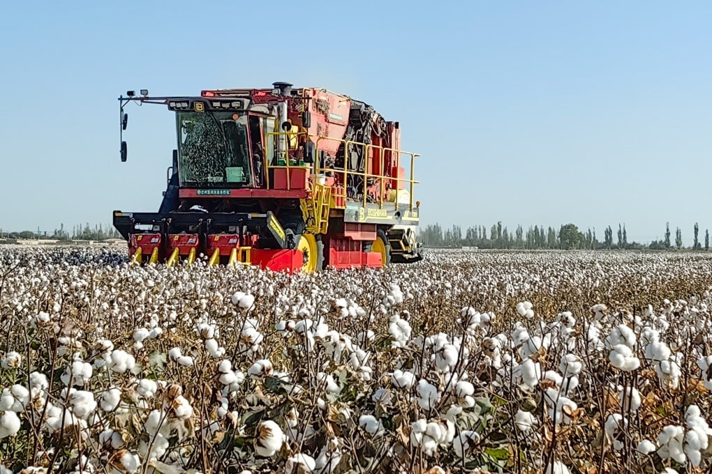 Farmers harvesting cotton in northwest China’s Xinjiang region. Photo: Xinhua