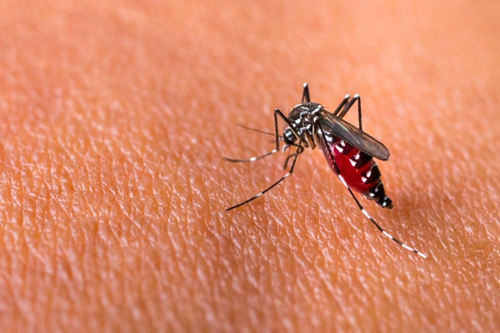 The Consumer Council has tested different brands of mosquito repellents. Photo: Shutterstock