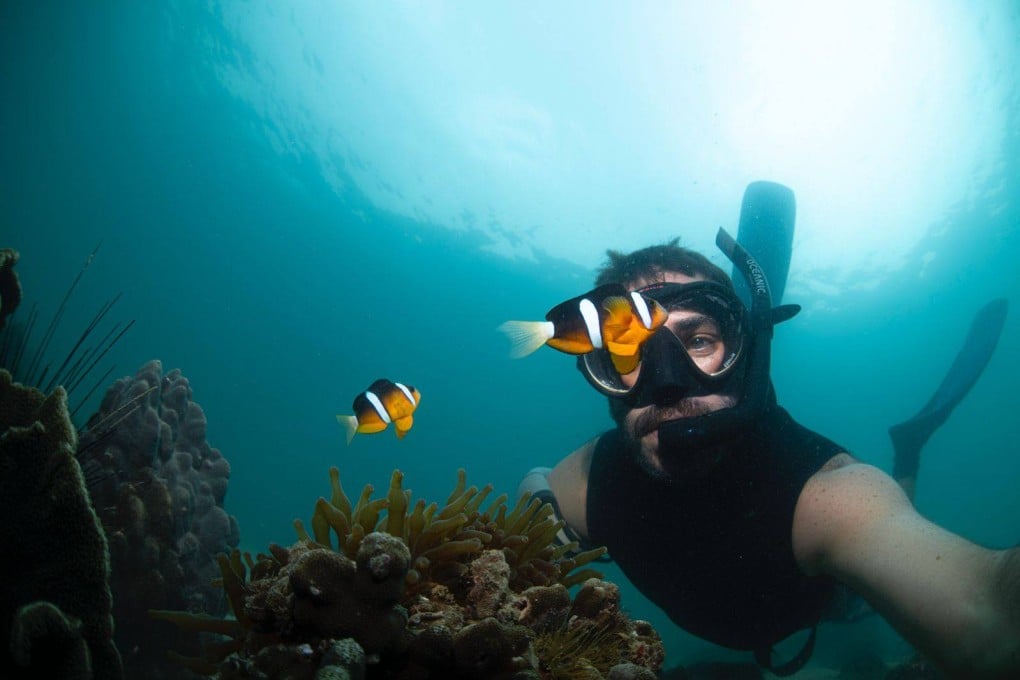 Simon Lorenz, diving instructor, underwater photographer and owner of a dive travel company, with Hong Kong clownfish at Bluff Island. Photo: Simon Lorenz