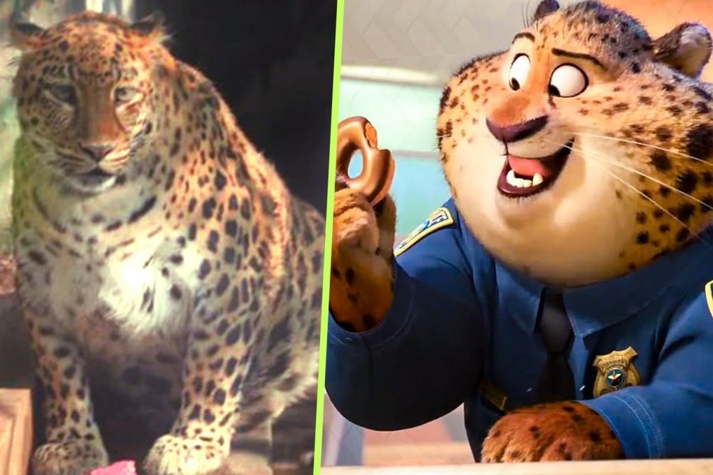 An overweight leopard at at zoo in China is pulling in the crowds because it looks like a character from an animated Disney film. Photo: SCMP composite/Sina.com/YouTube