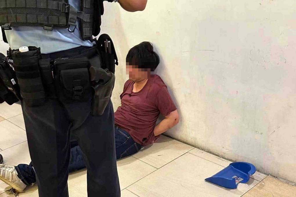 The suspect was subdued after a fierce struggle with people in the shopping centre. Photo: Handout