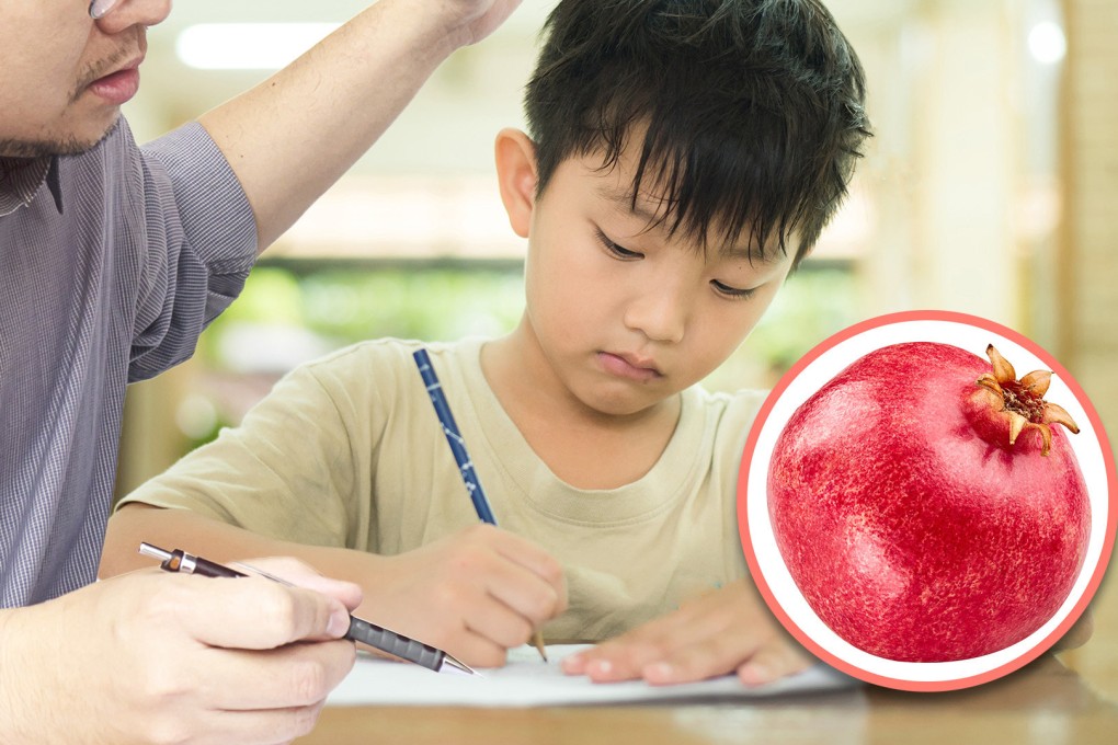 A father in China lost his cool during a home tutoring session with his son and hit the boy with a pomegranate, rupturing the child’s spleen. Photo: SCMP composite/Shutterstock