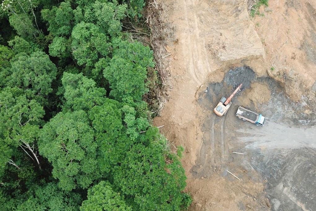 Rainforest jungle in Borneo, Malaysia, destroyed to make way for oil palm plantations. Photo: Shutterstock/File