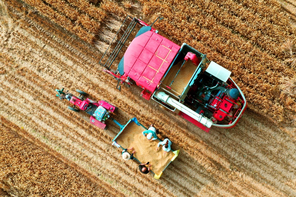 Farmers harvesting wheat in central China’s Henan Province, May 26, 2024. Photo: Xinhua