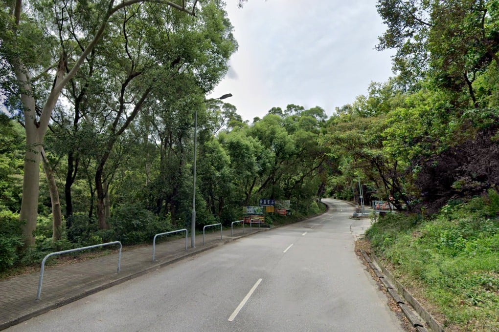 A motorcyclist has died after losing control and crashing into a railing on Tai Tong Shan Road. Photo: Google Maps