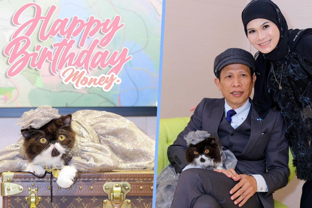 A Malaysian millionaire has thrown her pet cat called Money a lavish designer brand birthday bash, giving the feline a US$630 collar as a gift. Photo: SCMP composite/Instagram
