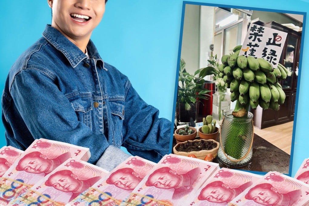 A burned-out worker in China gave up his job to make US$280,000 a month selling green bananas as fruit cultivation in offices for stress relief goes viral. Photo: SCMP composite/Shutterstock/Weibo