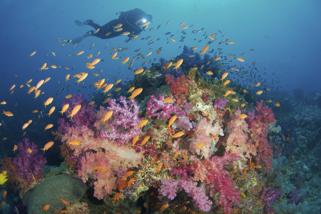 Fiji’s clear waters and colourful coral reefs are just some of the things that make it a great tropical getaway. Photo: Getty Images