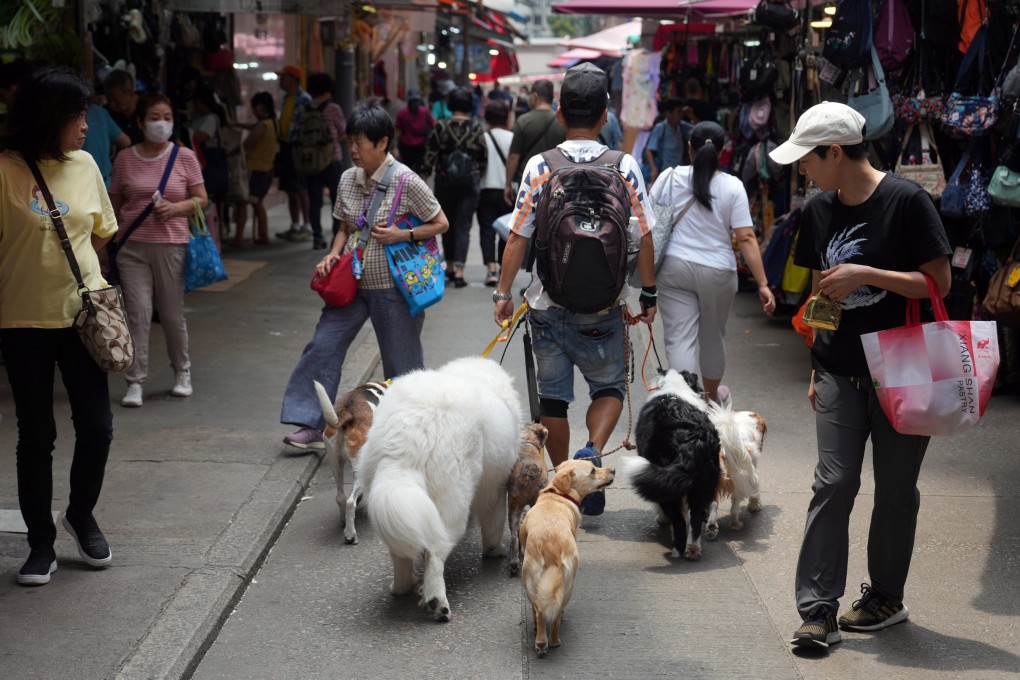 Reducing Hong Kong’s pet quarantine period ‘might curb cross