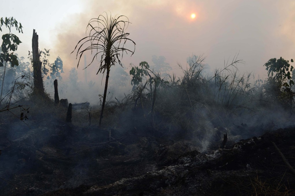 Smoke rises from the grounds of a private palm oil concession that was formerly a peatland forest area in Riau province on Sumatra island in Indonesia. Draining peatlands to clear land for agriculture or urbanisation is putting Southeast Asia’s climate change goals and those of the world at risk. Photo: AFP