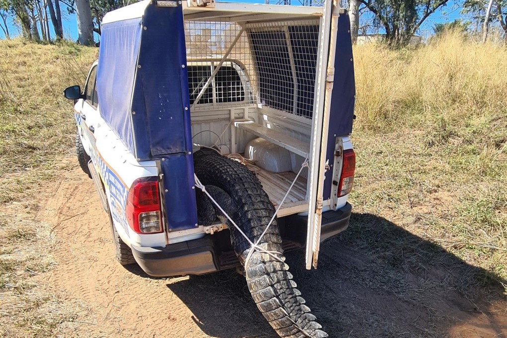 Northern Territory police shot and killed the crocodile on June 11. Photo: Facebook/NTPFES