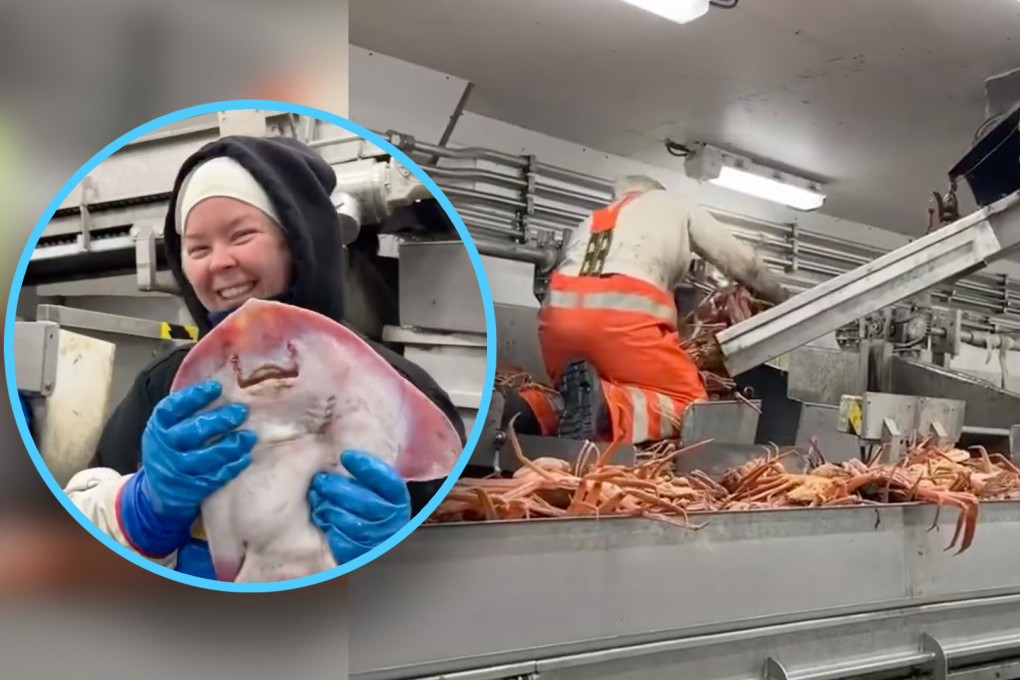 A woman from the mainland has defied prejudice and extreme conditions to become China’s first female Arctic crab fisher. Photo: SCMP composite/Xiaohongshu