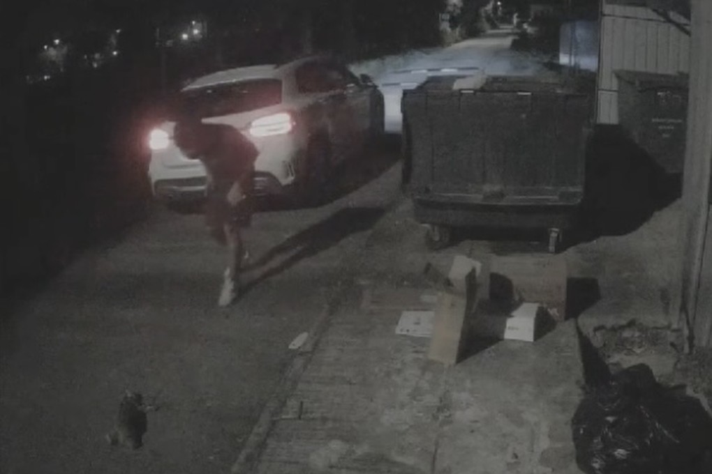 A screengrab of footage showing a man stepping out of the car, a Mercedes-Benz, after hitting the cat. Photo: Facebook/Kin Wu Wu