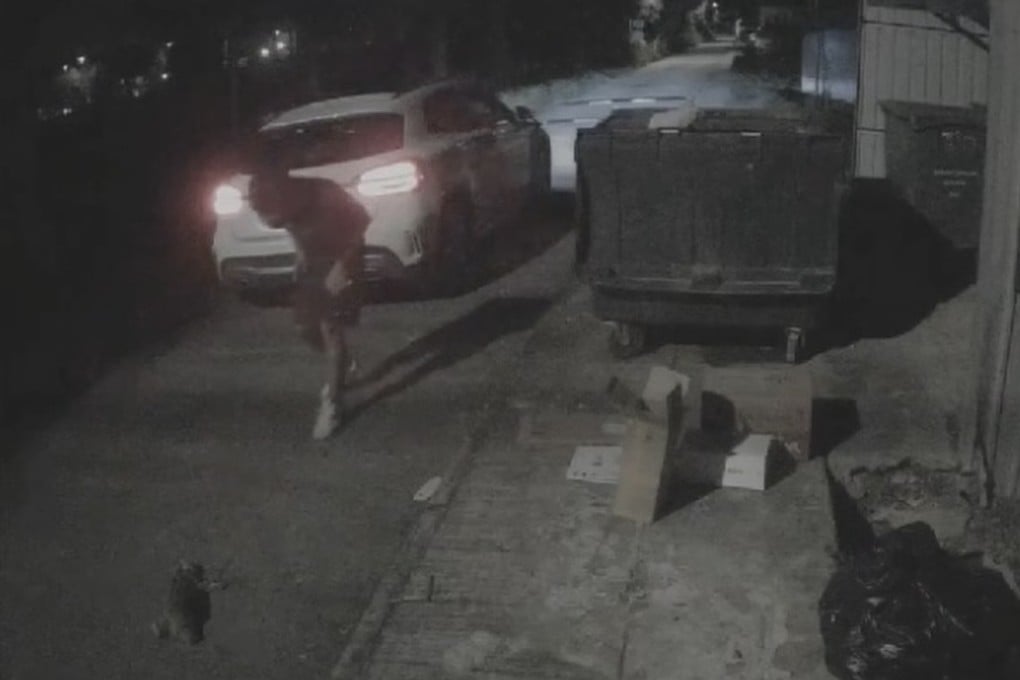 A screengrab of footage showing a man stepping out of the car, a Mercedes-Benz, after hitting the cat. Photo: Facebook/Kin Wu Wu