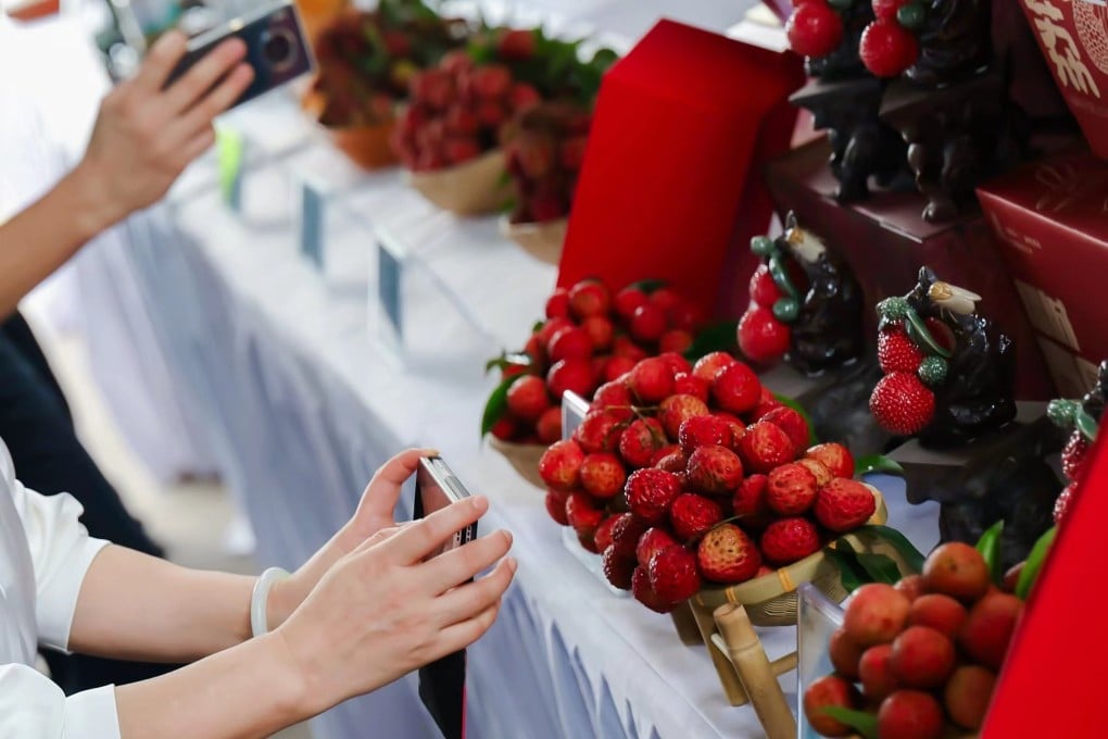 Lychees on display at a farm in Zengcheng district in Guangzhou, capital of southern Guangdong province. Photo: Handout