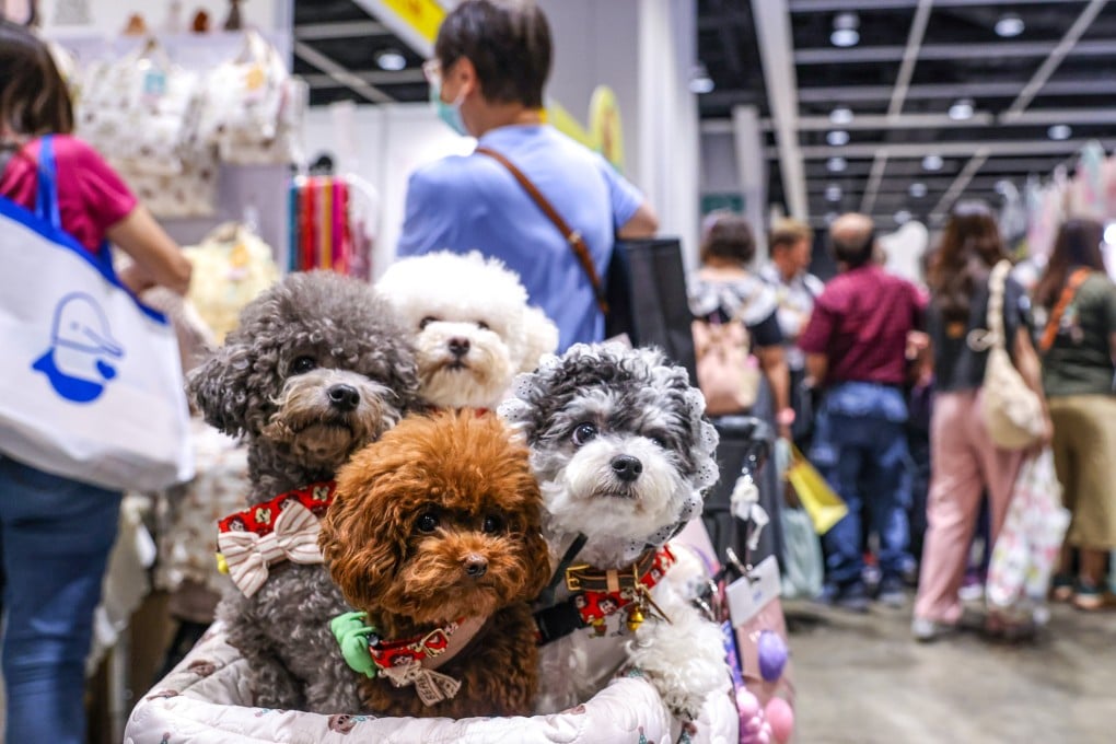 Pet owners should do their homework before using animal boarding services for their furry friends. Photo: Yik Yeung-man.