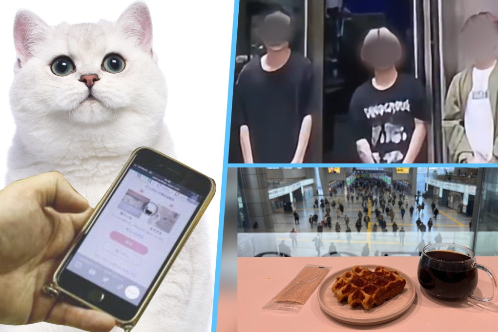 The Post gives a snapshot of some of the weird and wonderful stories in the news around Asia. Photo: SCMP composite/Shutterstock/YouTube/Weixin/Weibo