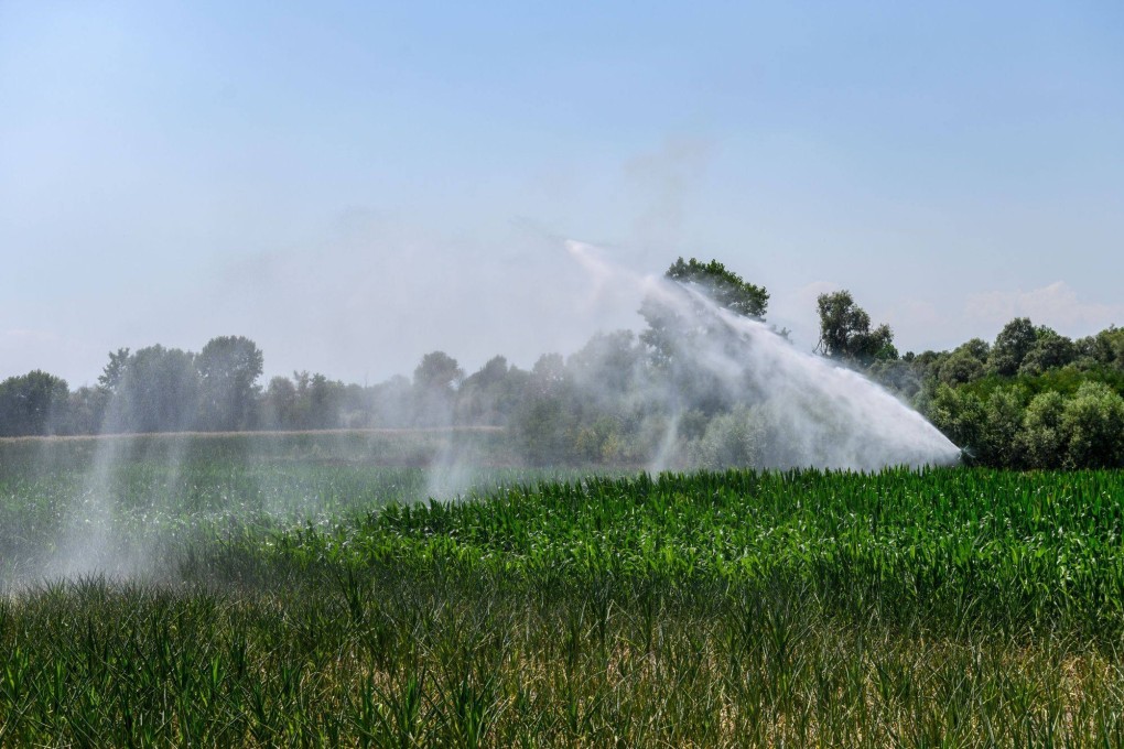 A field of corn being irrigated in Carmagnola, Italy. Photo: Bloomberg