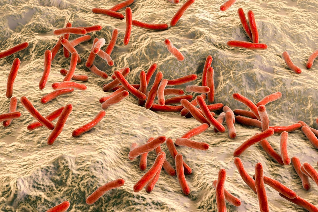 An illustration of the bacteria that causes leprosy. A “notable” chronic infectious disease, it can be transmitted by nasal droplets or close skin contact. Photo: Shutterstock