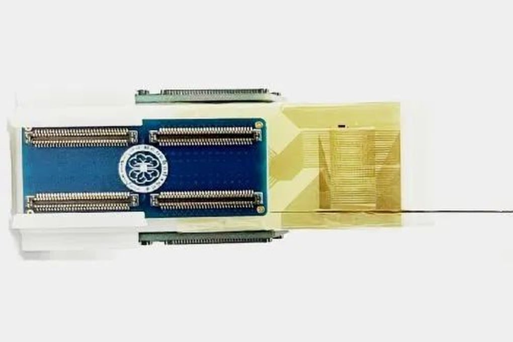 The Neuroscroll probe is tunable for the brain sizes of non-human primates and humans. Photo: Xinhua