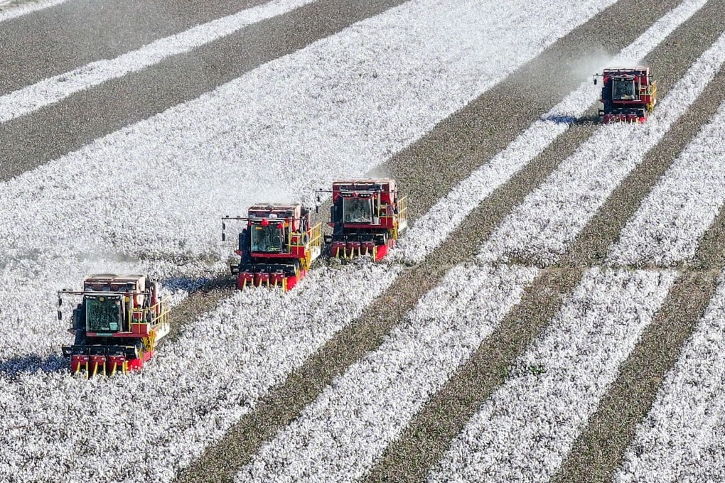 UK authorities must reconsider whether to open a probe into the import of cotton allegedly produced by slave labour in Xinjiang, a London court ruled. Photo: Xinhua