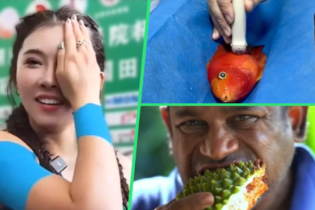 Quirky Asia news: the Post takes a look at some of the strange stories which have made headlines across Asia. Photo: SCMP composite/Douyin/Weibo/TikTok
