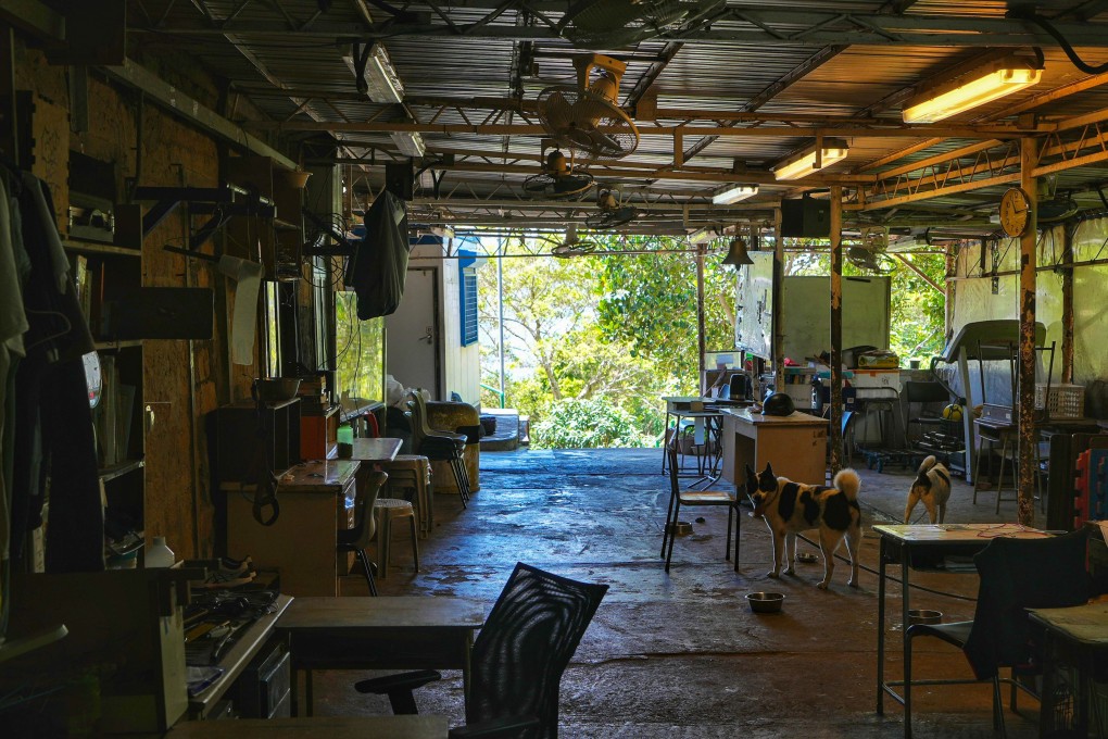 The campus of Christian Zheng Sheng College is empty aside from some pets. Photo: Elson Li