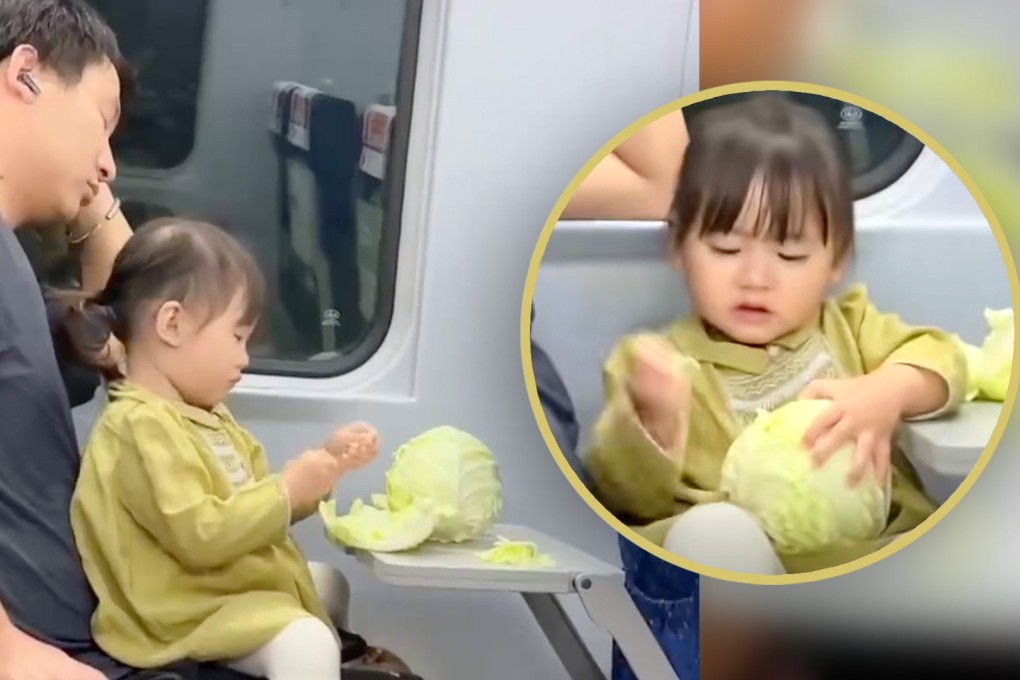 A father in China found an ingenious way to keep his toddler daughter occupied on a train journey. He gave her a cabbage to peel. Photo: SCMP composite/Douyin