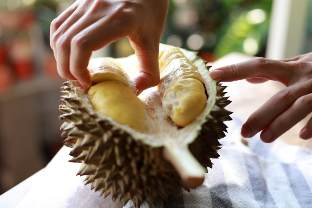 Native to Southeast Asia, durian is highly prized for its rich, creamy and sometimes pungent taste and in loved in countries from Malaysia and Singapore to Thailand and China. Photo: Getty Images
