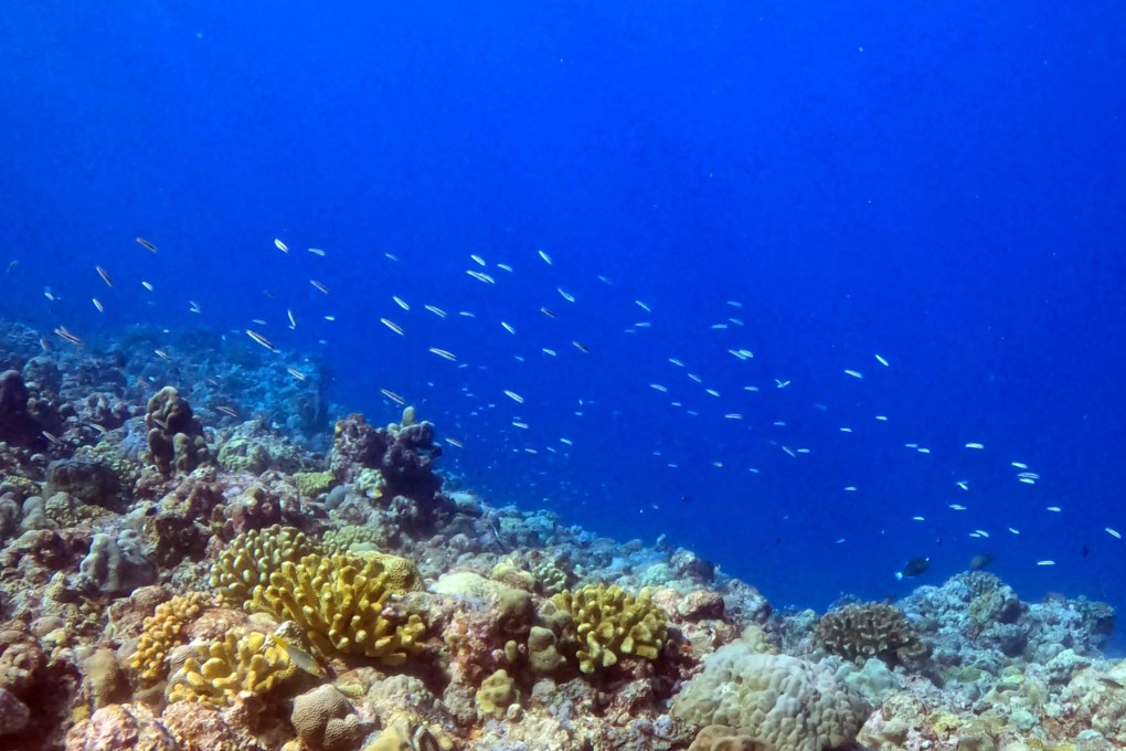 A team of Chinese investigators has found Scarborough Shoal in the South China Sea to have a healthy coral ecosystem rich in diversity. Photo: CCTV