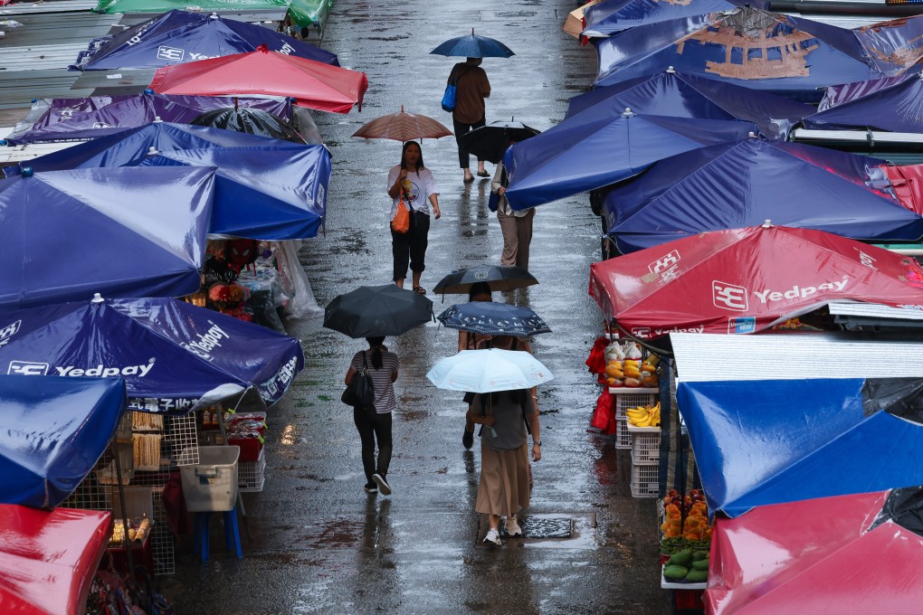 Unsettled weather is expected in Hong Kong in coming days. Photo: Edmond So