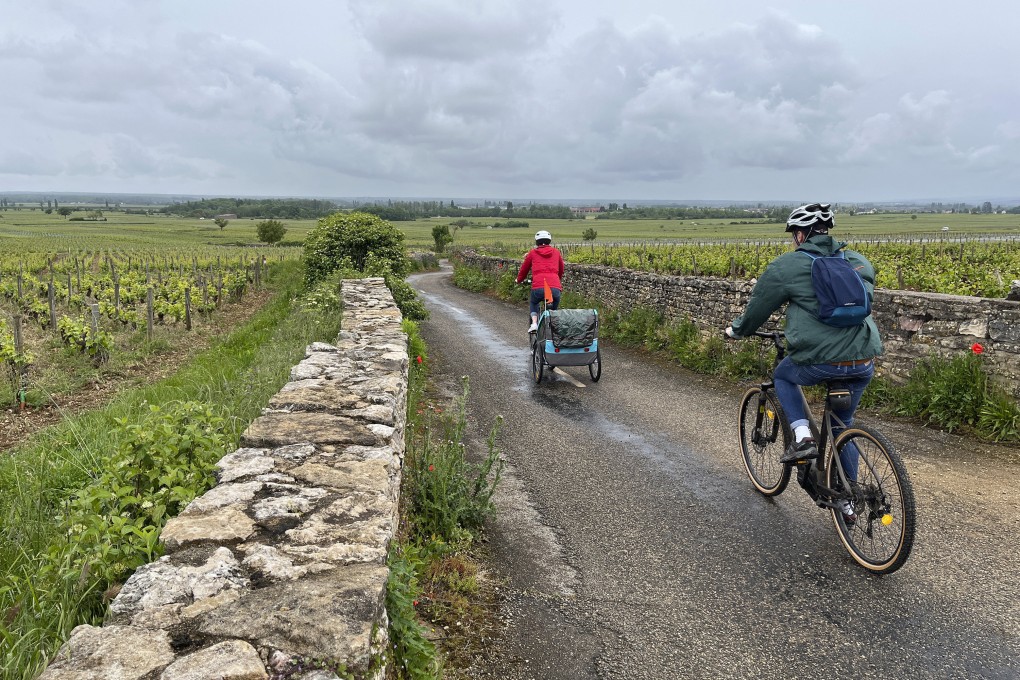Cyclists on one of the many bike routes that take riders through Burgundy’s vineyards and villages where wine is produced. For a change from these mainly flat routes, and the best views of the French region, ascend one of the ridges that protect the vines against the wind. Photo: Steve Wartenberg via AP