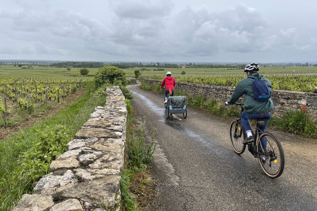 Cyclists on one of the many bike routes that take riders through Burgundy’s vineyards and villages where wine is produced. For a change from these mainly flat routes, and the best views of the French region, ascend one of the ridges that protect the vines against the wind. Photo: Steve Wartenberg via AP