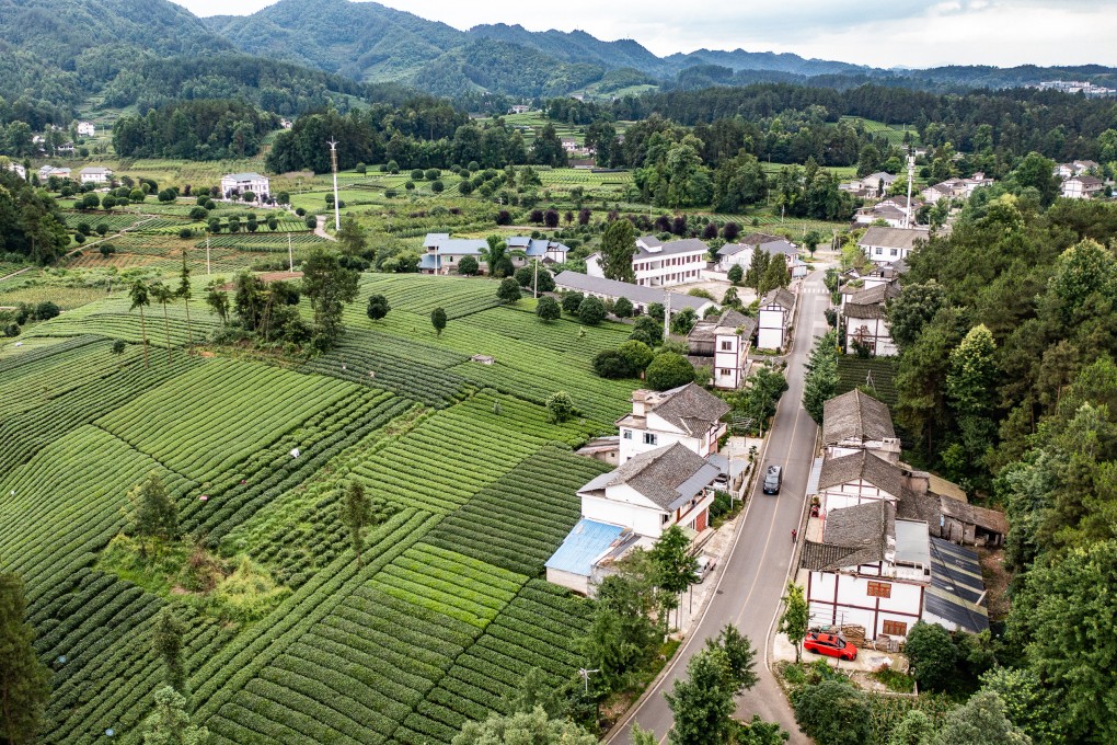 Beijing has said it intends to “allow farmers to revitalise and utilise their legally owned homes via renting, becoming shareholders, and cooperating with others”. Photo: Xinhua