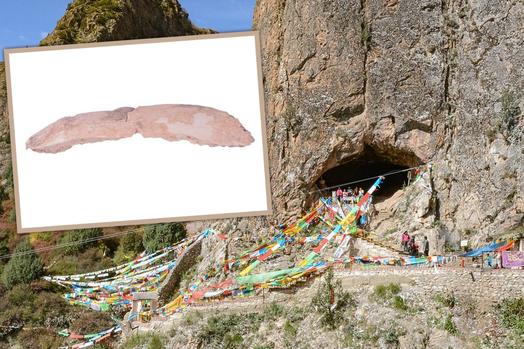 A fossilised rib bone suggests Denisovans may have lived alongside ancient humans. Photo: SCMP composite/Nature/Wikipedia
