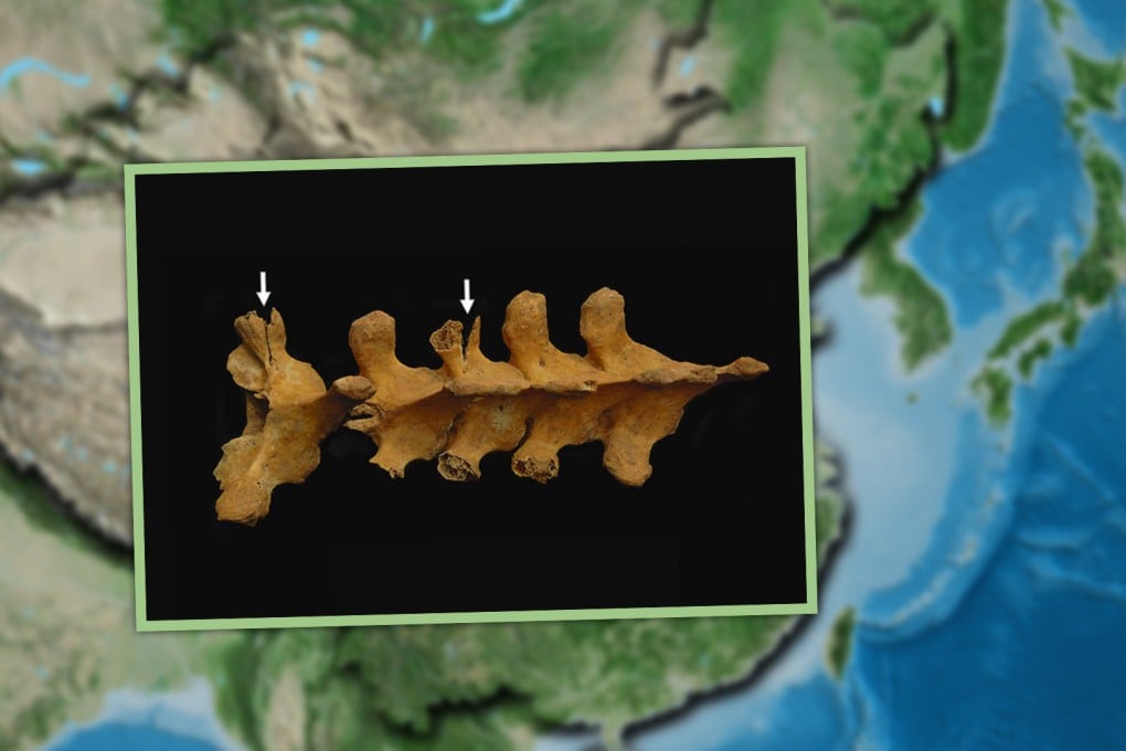 Ancient human sacrifice in China likely served to solidify social hierarchies. Photo: SCMP composite/Shutterstock/The Poetics of Violence in Afroeurasian Bioarchaeology