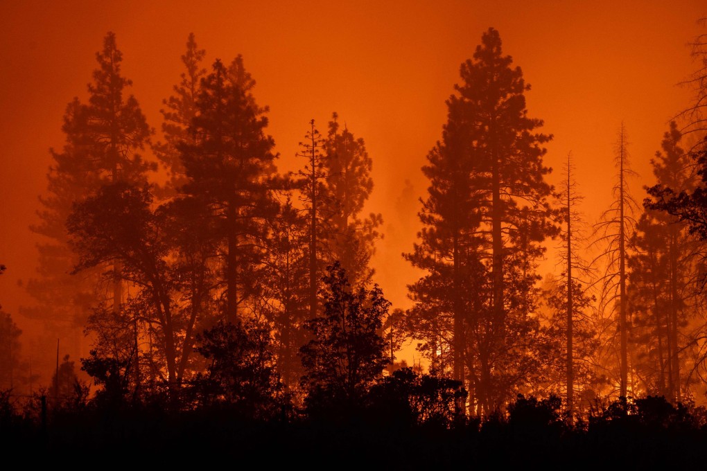 Trees burn near the small community of Payne Creek as the Park Fire continues to spread near Chico, California. Photo: Getty Images / AFP