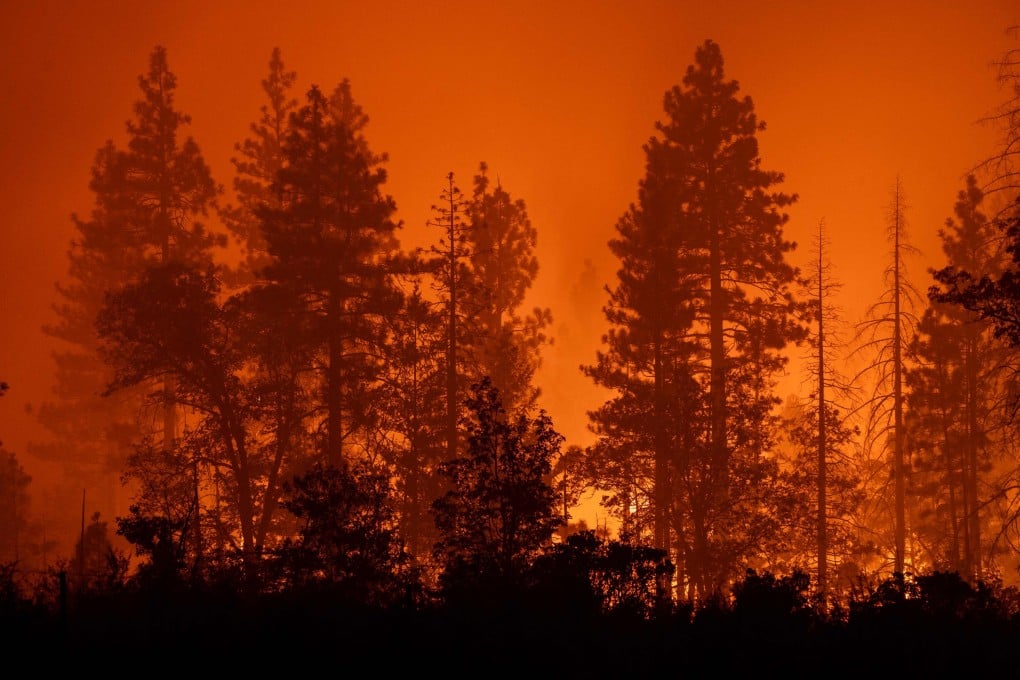 Trees burn near the small community of Payne Creek as the Park Fire continues to spread near Chico, California. Photo: Getty Images / AFP