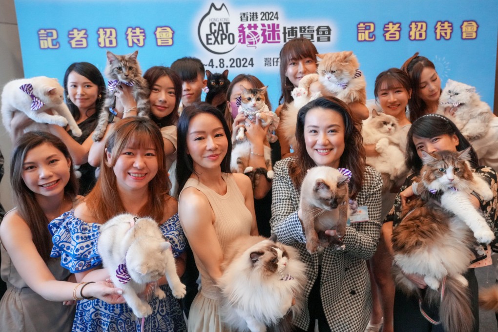 The Hong Kong Cat Expo 2024 returns from August 2-4, with the latest cat food and products, shows and feline health tips. It is just one of the exciting shopping events in the city this weekend, which also include fashion and beauty brand pop-ups and an event celebrating 120 years of Hong Kong’s trams. Photo: May Tse