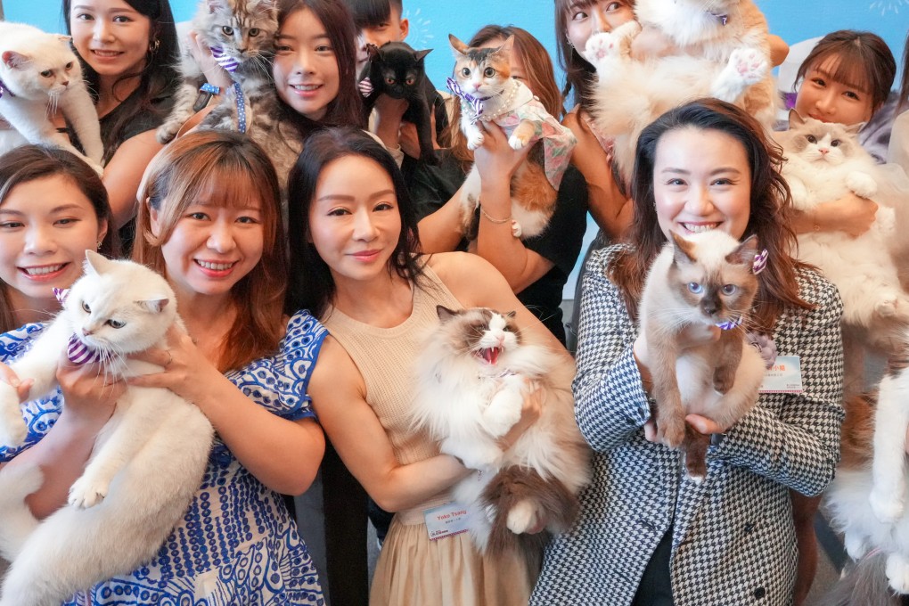 Pet owners pose with their cats during the press conference of Hong Kong Cat Expo 2024, one of our five top recommendations for things to do in Hong Kong this weekend. Photo: May Tse