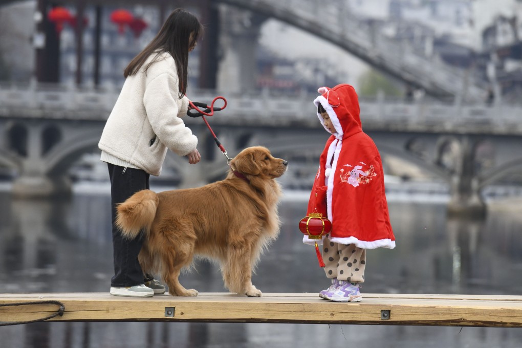 A child in festive clothes looks at a dog on a wooden bridge at Fenghuang Ancient City ahead of the Chinese New Year, the Year of the Rabbit. Photo: Getty Images