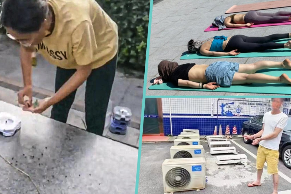 Quirky news: the Post takes a look at some of the strangest tales to come out of China in recent days. Photo: SCMP composite/Weibo/Douyin/Xiaohongshu