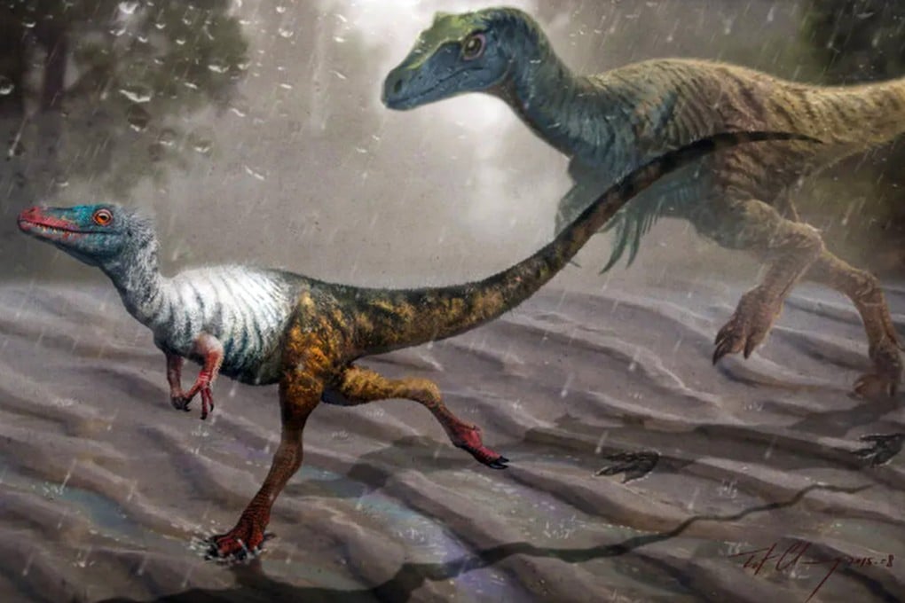 Palaeontologists in China said the footprint fossils could belong to Minisauripus, one of the smallest dinosaurs ever discovered. Photo: Xinhua