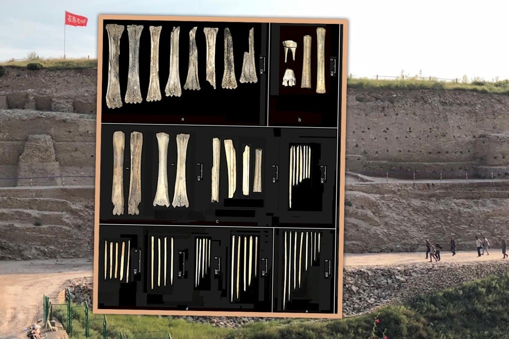 Thousands of bone needles and tools discovered in northwest China illuminate modern scientists about the technological advancements marking the transition between two ages in human development. Photo: SCMP composite/Journal of Anthropological Archaeology