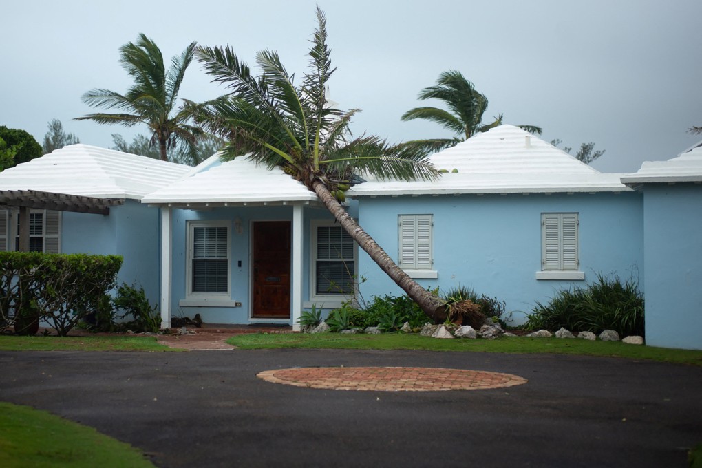 A fallen tree lies on a house after Hurricane Ernesto passed Devonshire Parish, Bermuda on Saturday. Photo: Reuters