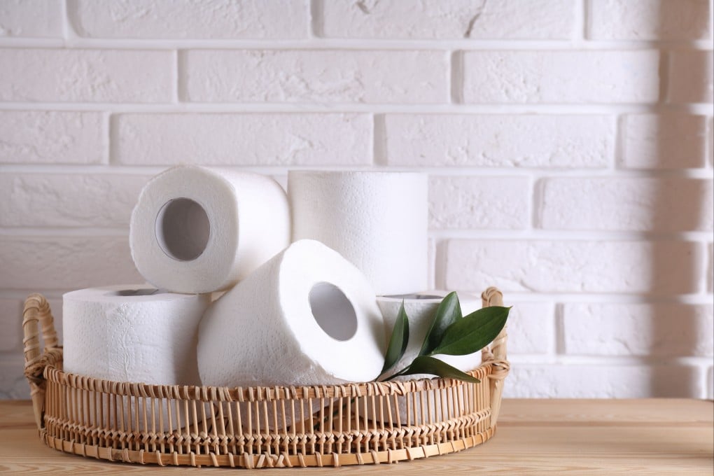 Hong Kong’s consumer watchdog has advised the public to select toilet roll products according to their habits, environmental considerations, bathroom pipe configurations and budget. Photo: Shutterstock
