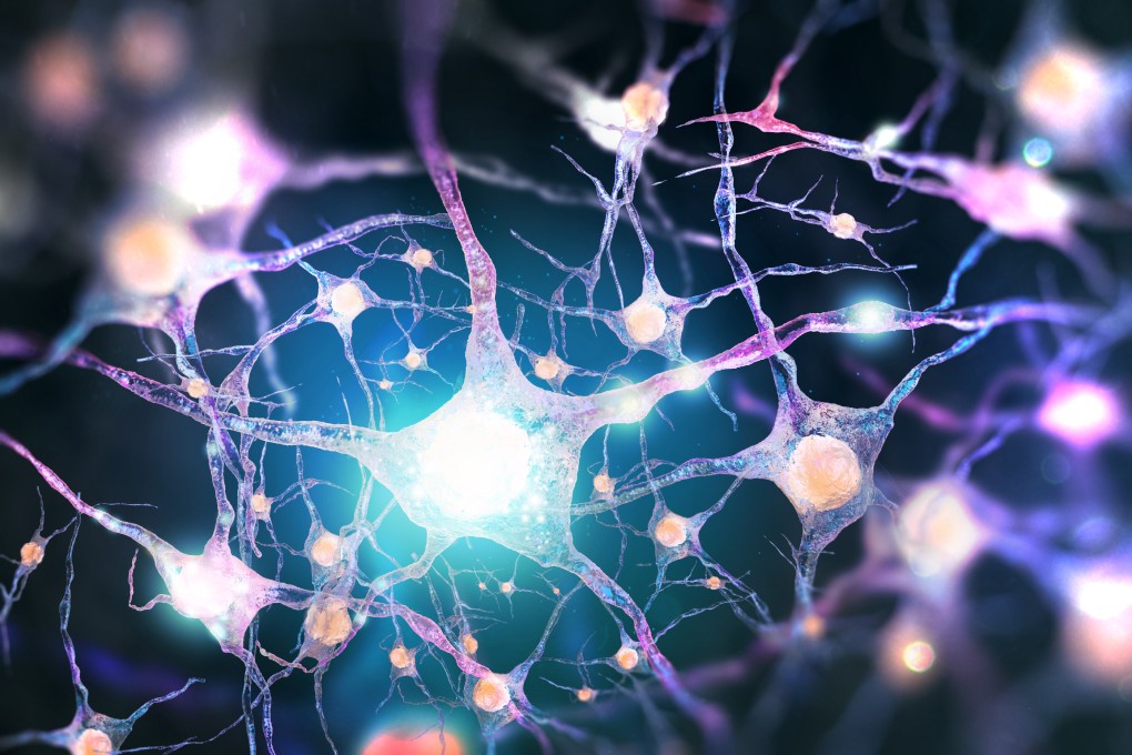 Each of the brain’s 100 billion neurons is more diverse and complex than any existing artificial intelligence model. Illustration: Shutterstock